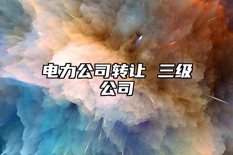 电力公司转让 三级公司